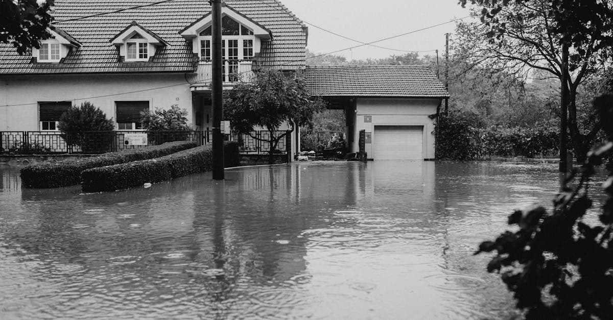 Cover Image for Toilet Overflow Water Damage: What Your Policy Covers