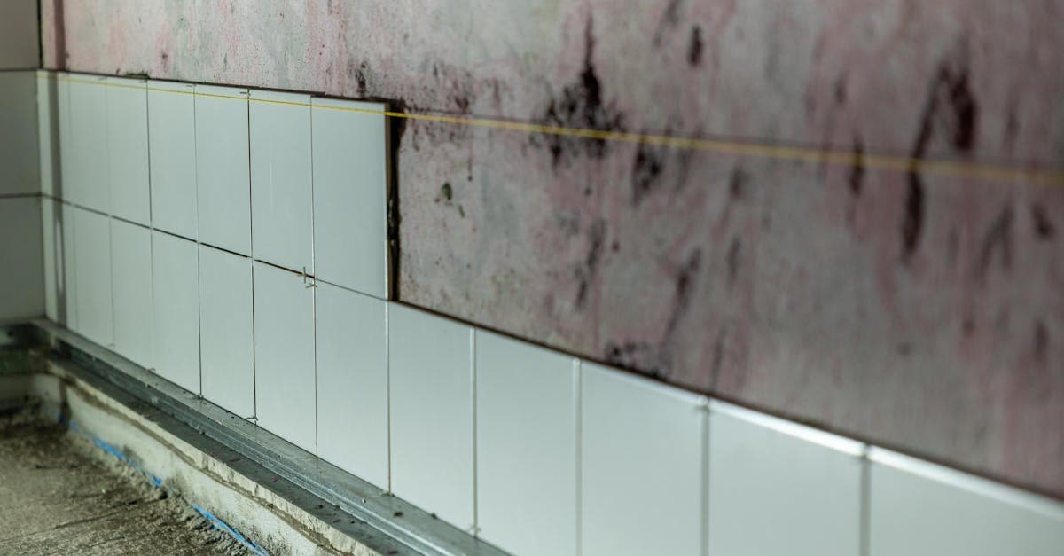 Cover Image for Mold Prevention and Your Homeowners Insurance Policy