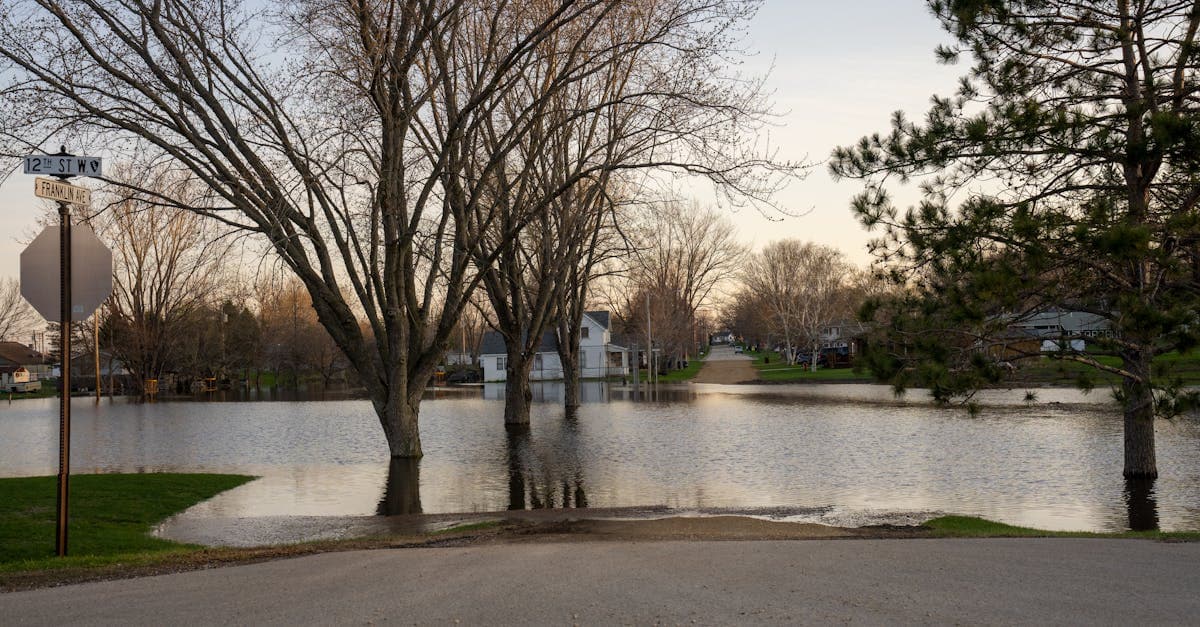 How to File a Flood Insurance Claim: Step-by-Step Guide