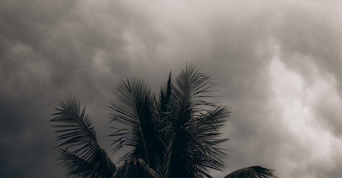 Cover Image for How Florida Statute 627.701 Protects Homeowners From Repeated Hurricane Deductibles