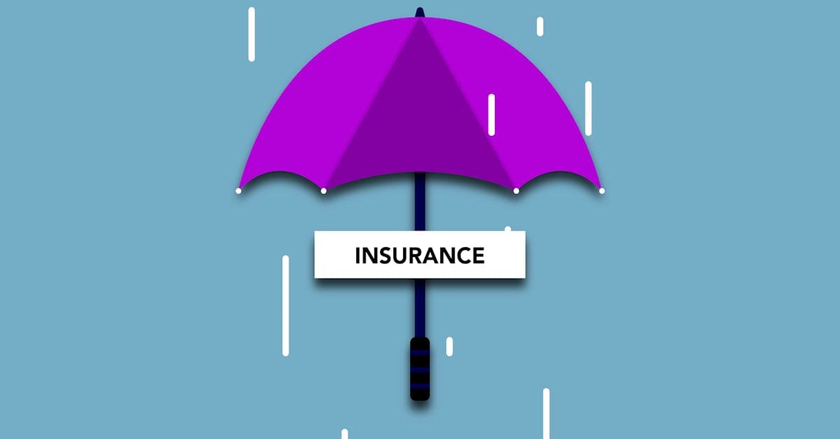Cover Image for Life Insurance Illustration Regulations: How States Protect Consumers