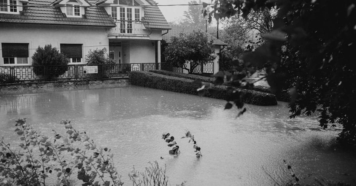Cover Image for Hurricane Water Damage: Which Insurance Policy Covers What?