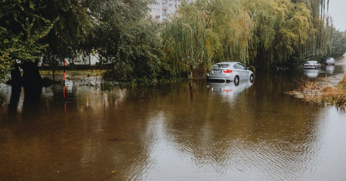 Coastal Condo Flood Insurance: Protecting Your Beachfront Investment